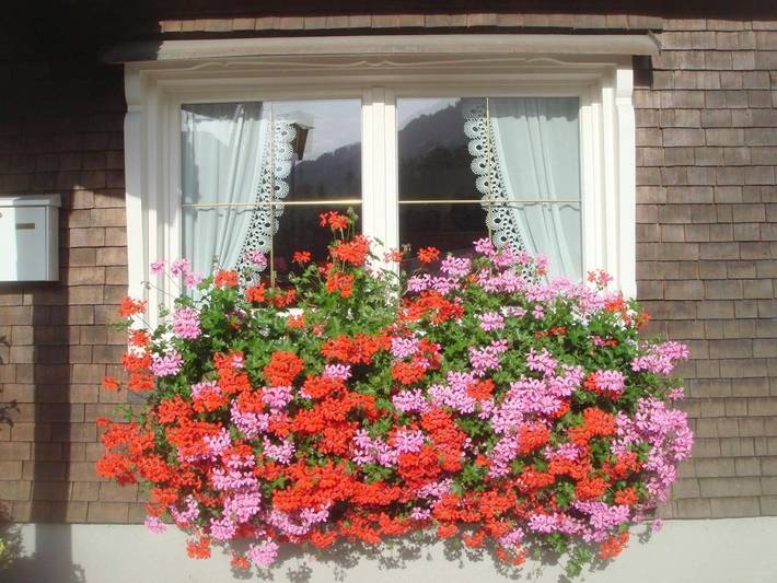 Gîte pour 4 personnes, avec jardin et vue à Bezau - 3