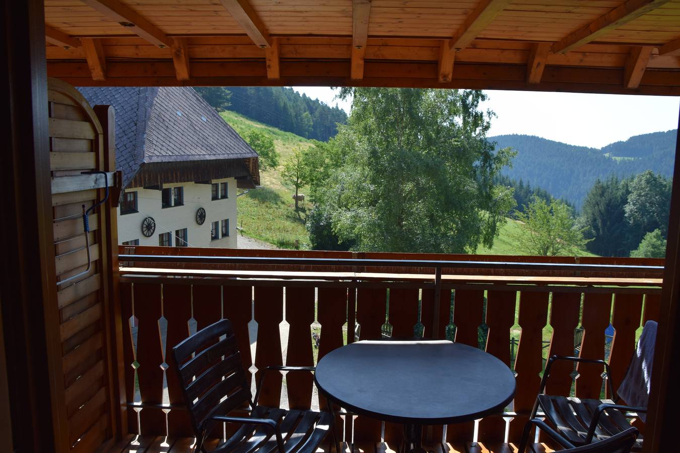 Ganze Wohnung, Ferienwohnung '2' mit gemeinsamer Terrasse, Balkon und Wi-Fi in Hornberg, Mittlerer Schwarzwald