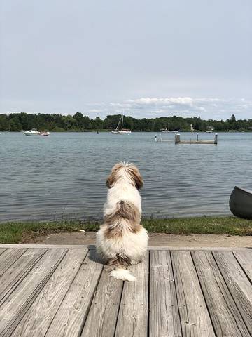 Bed And Breakfasts for 4 Guests in Lake Michigan, Michigan, Picture 1