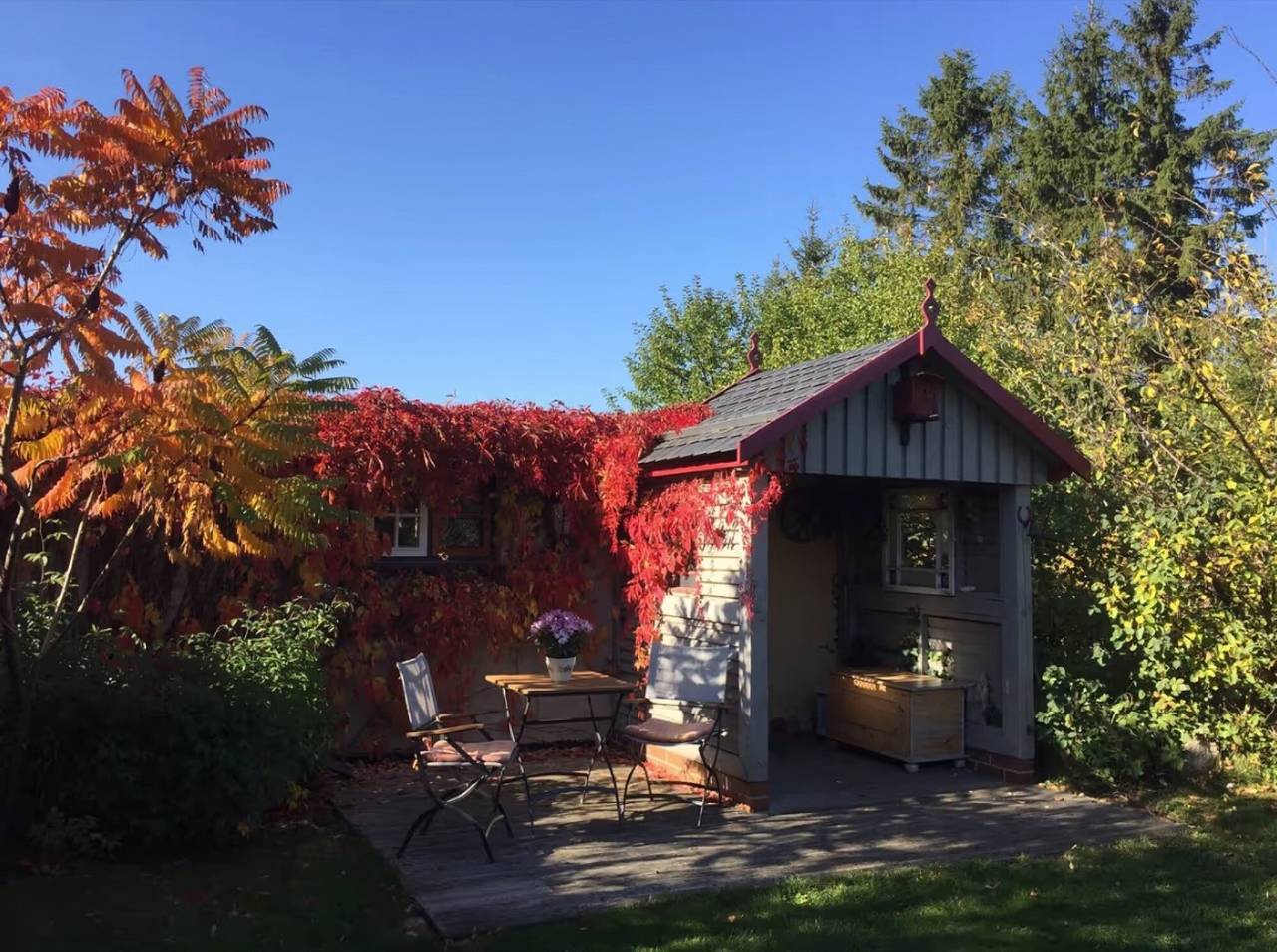 Ferienhaus 'Charlottes Landlust' mit privater Terrasse, privatem Garten in Klockenhagen, Ribnitz-Damgarten