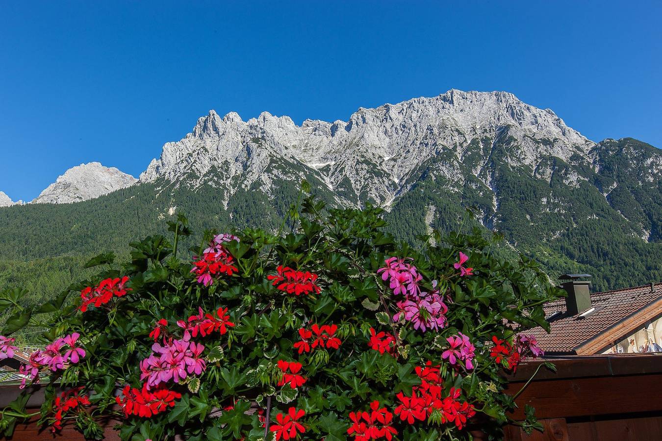 Braun, Landhaus in Mittenwald, Bayerische Alpen
