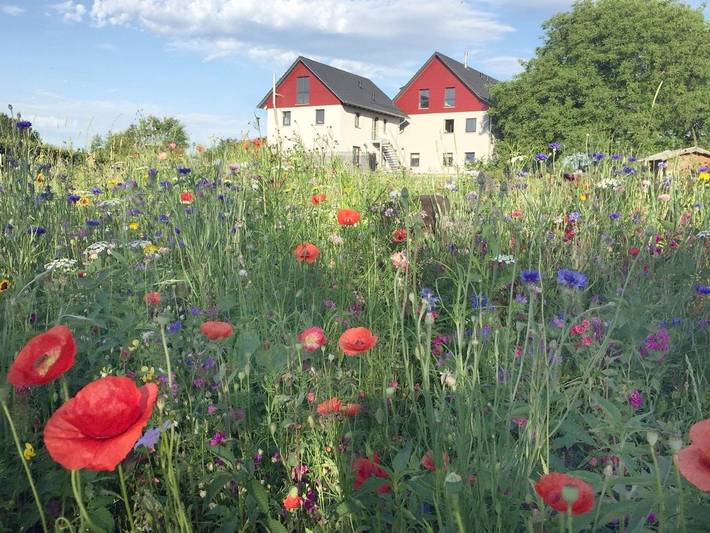 Ferienwohnung für 5 Personen, mit Garten und Ausblick, mit Haustier in Grünkraut