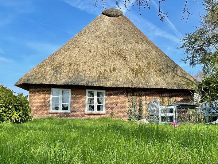 Ferienhaus für 4 Personen, mit Terrasse und Garten in Dörphof - 4