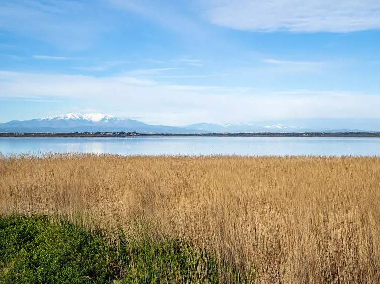 Appartement entier, 3 Pièces 4 Personnes in Canet-en-Roussillon, Côte d'Améthyste