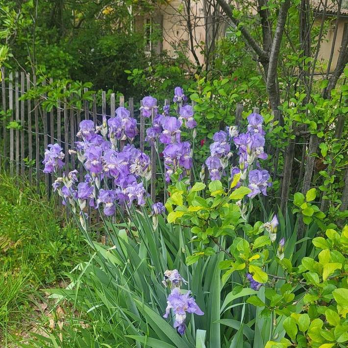 Location de vacances pour 4 personnes, avec Terrasse ainsi que Jardin et Piscine à Bonnieux - 4
