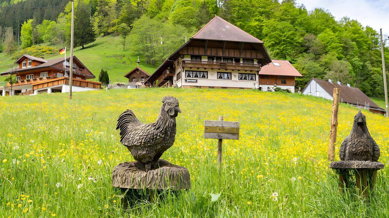 Mehrbettzimmer für 4 Personen in Wolfach in Wolfach, Kinzig Valley