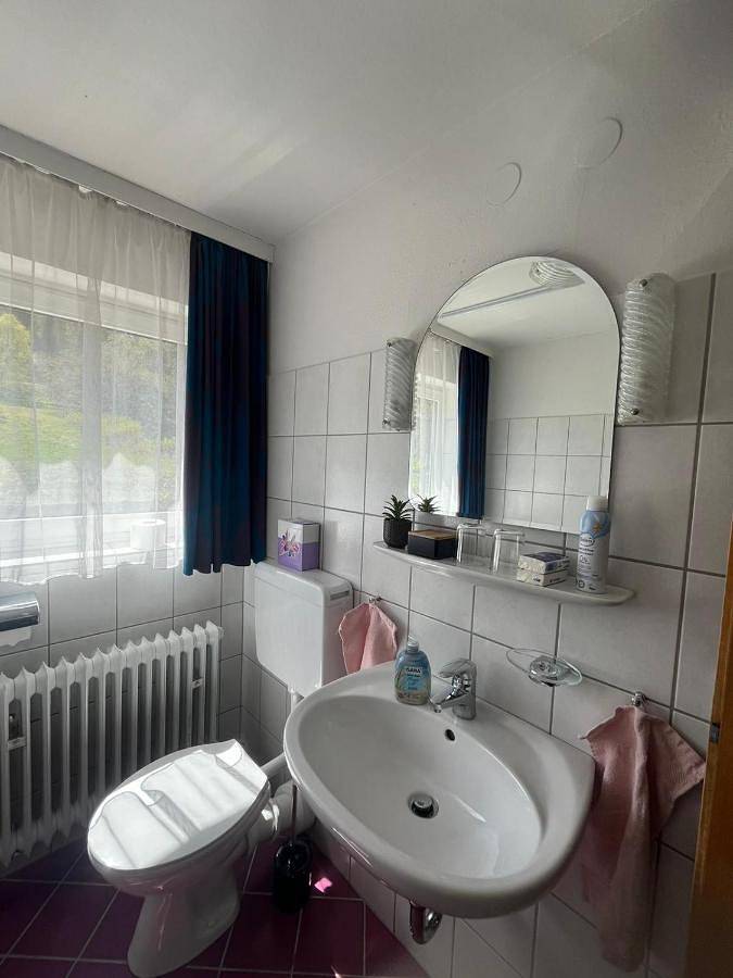 Maison d’hôte pour 6 personnes, avec balcon, adapté aux familles à Feldberg - 2
