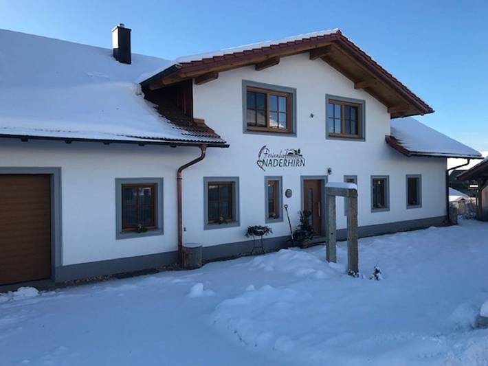 Ferme pour 6 personnes, avec Balcon/Terrasse ainsi que Terrasse et Jardin à Wegscheid - 3