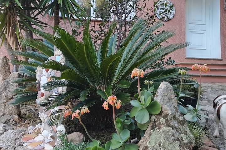 Location de vacances pour 8 personnes, avec jardin dans Tizzano