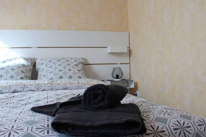 Gîte pour 5 personnes, avec jardin à Gelles - 3