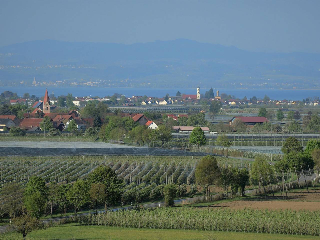 Ganze Ferienwohnung, Ferien- und Obsthof Dillmann - Ferienwohnung C in Langenargen, Region Bodensee-Oberschwaben