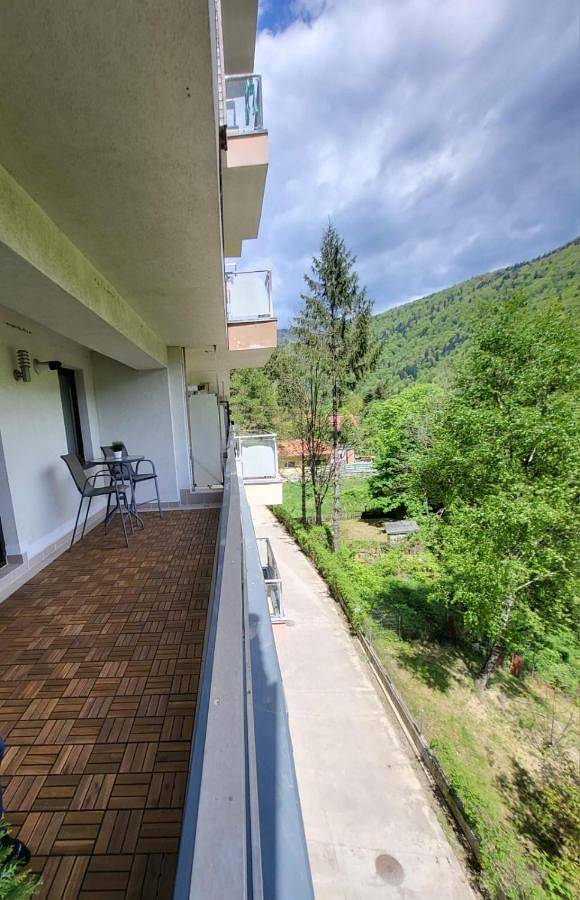 Gîte pour 3 personnes, avec vue et jardin à Sinaia - 3