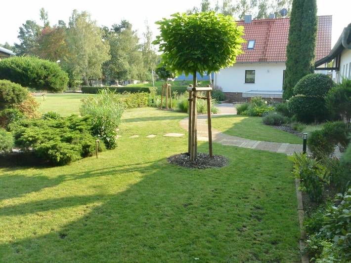 Altschulze "Teichrose" in Ressen-Zaue, Schwielochsee
