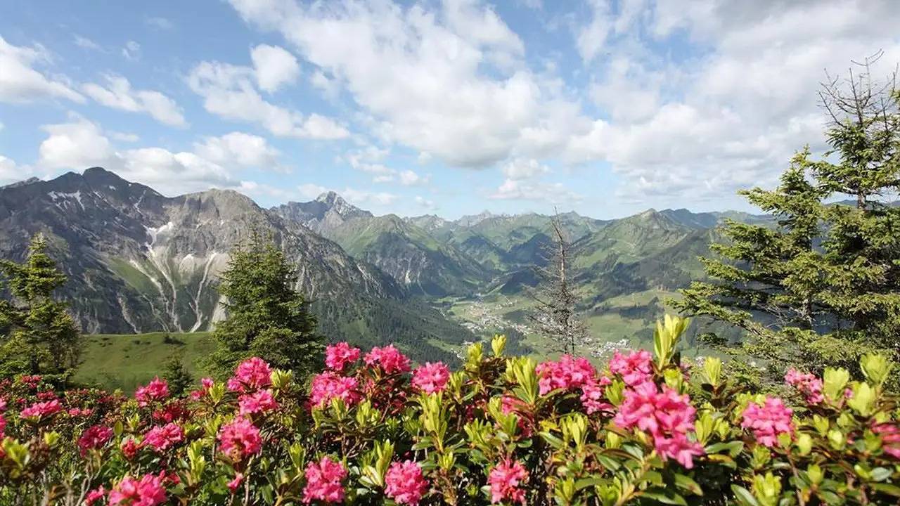 Ganze Ferienwohnung, Ferienwohnung für 5 Personen (48 m²) in Mittelberg (Kleinwalsertal) in Mittelberg, Kleinwalsertal