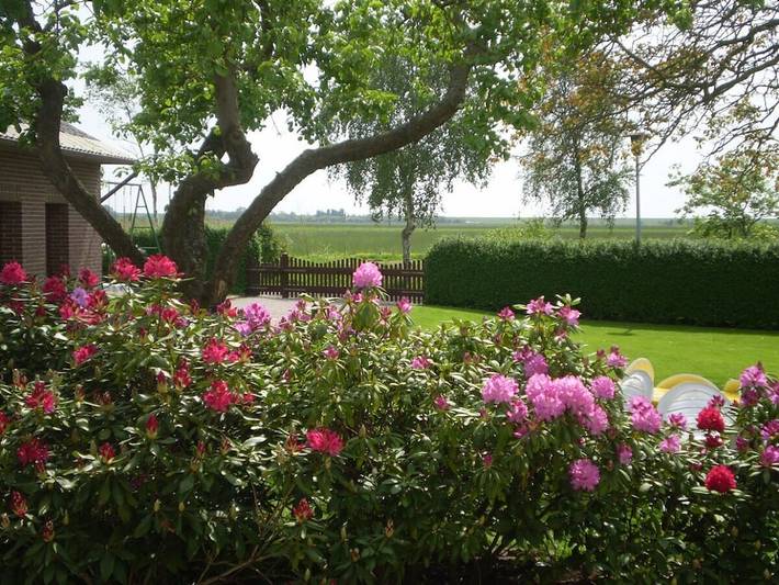 Ferienhaus für 5 Personen, mit Terrasse und Garten in Eckwarden - 3