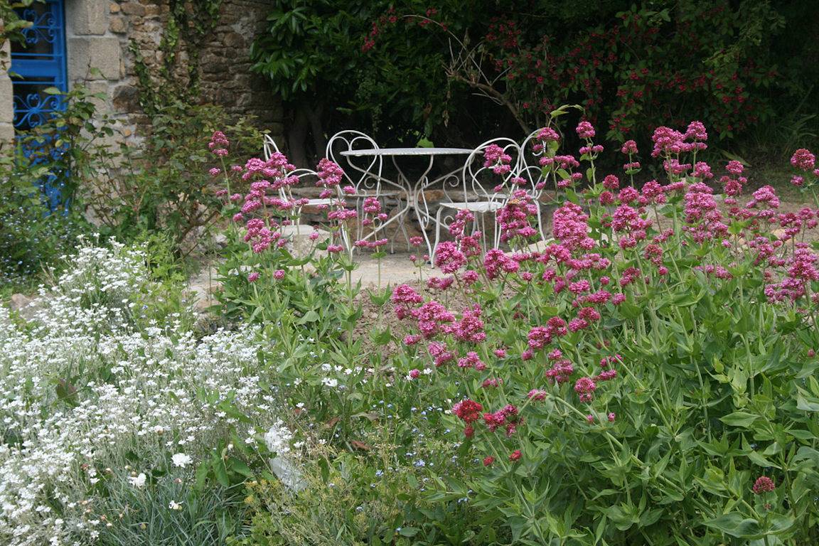 Gîte en bord de mer à Moëlan-sur-Mer, Bretagne, Finistère Sud in Moëlan-sur-Mer, Côte de Cornouaille