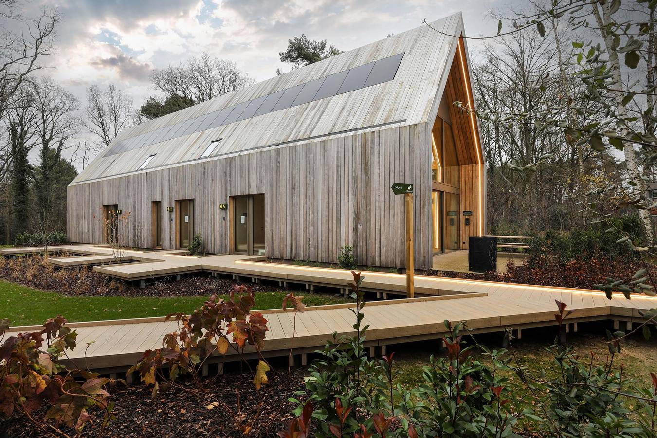 Woodz Lodges — Lodge | 6 personnes in Heusden-Zolder, Région de Hasselt