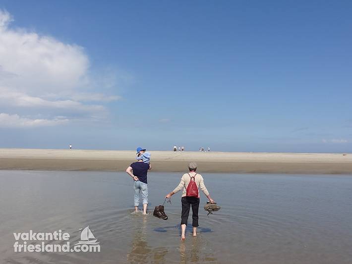Ferienhaus für 6 Personen, mit Balkon/Terrasse und Terrasse in Anjum - 2
