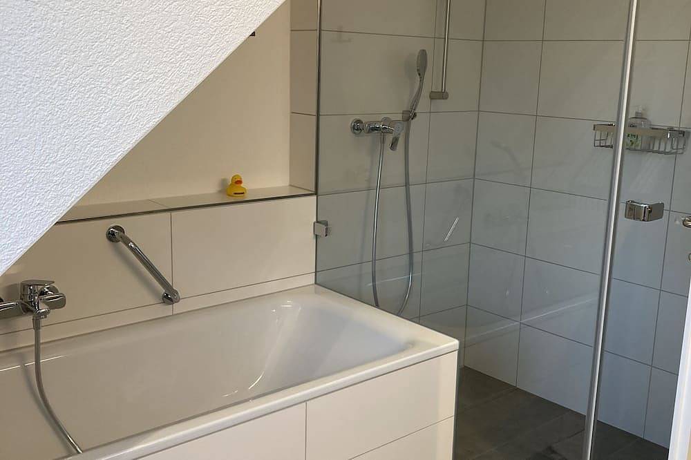 Appartamento intero, Roof top flat in Aargau-Basel