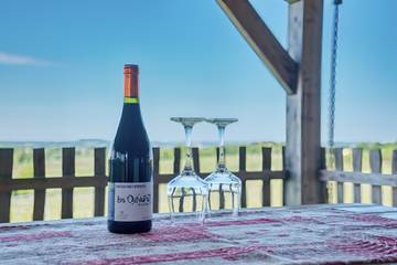 Cottage voor 3 Personen in Monbazillac, Périgord Pourpre, Afbeelding 2