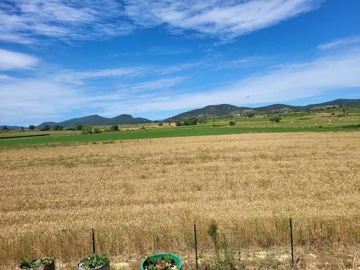 Location de vacances pour 4 personnes, avec vue et terrasse ainsi que jardin et piscine à Barjac - 3
