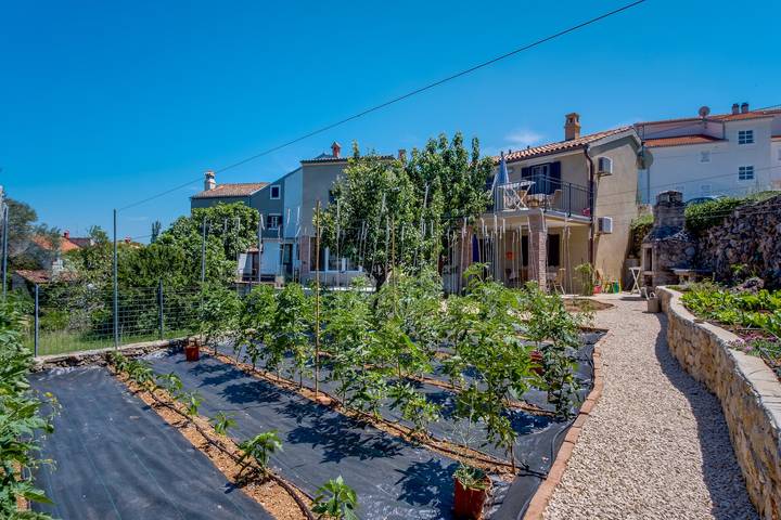 Ferienwohnung für 3 Personen, mit Balkon/Terrasse auf Lošinj - 3