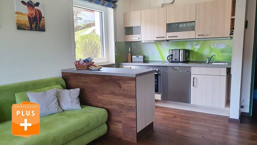 Ferienwohnung für 4 Personen, mit Balkon und Ausblick in Steibis