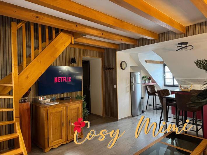 Gîte pour 4 personnes, animaux acceptés à Dole - 3