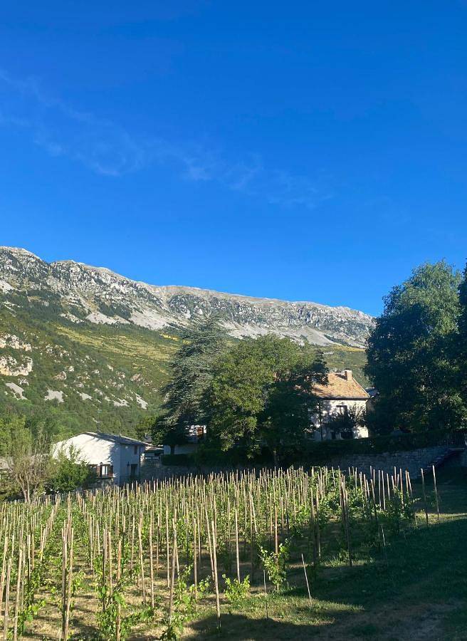 Casa para 12 con jardín en Chía, Benasque La Casa del Tilo in Chía, Pyrénées Aragonaises