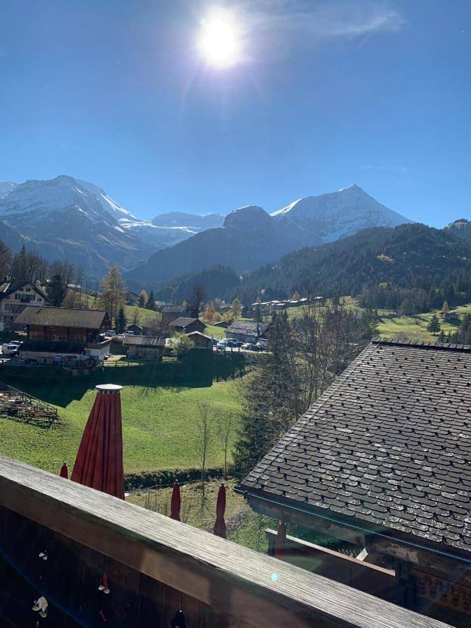 Gîte pour 3 personnes, avec jardin ainsi que balcon et vue dans Lauenen Bei Gstaad - 4