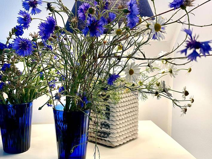 Ferienhaus für 4 Personen, mit Garten und Terrasse, kinderfreundlich in Wismarer Bucht - 4