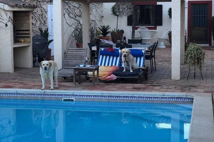 Chambre d’hôte pour 3 personnes, avec jacuzzi ainsi que piscine et jardin en Algarve