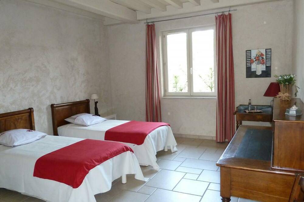 Gîte spacieux avec cheminée et animaux admis in Saint-Haon-le-Vieux, Région de Roanne