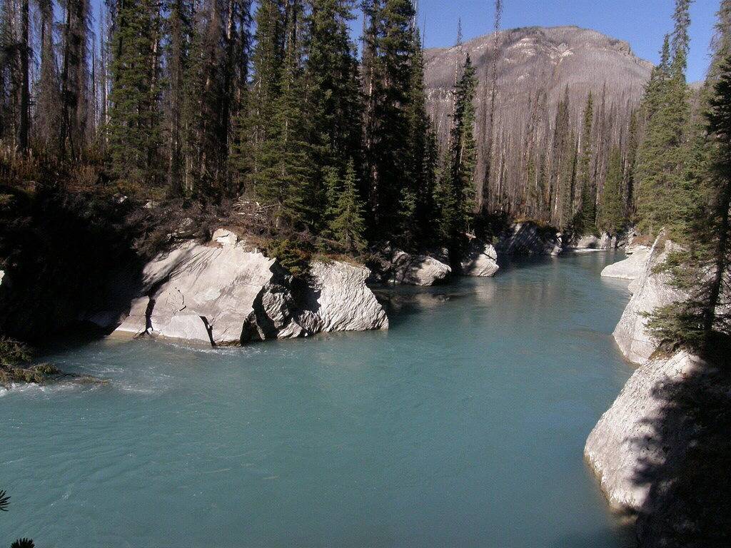 Ganze Wohnung, Luxus Radium Condo 2200 sq. Ft. in Radium Hot Springs, Kootenay-Nationalpark