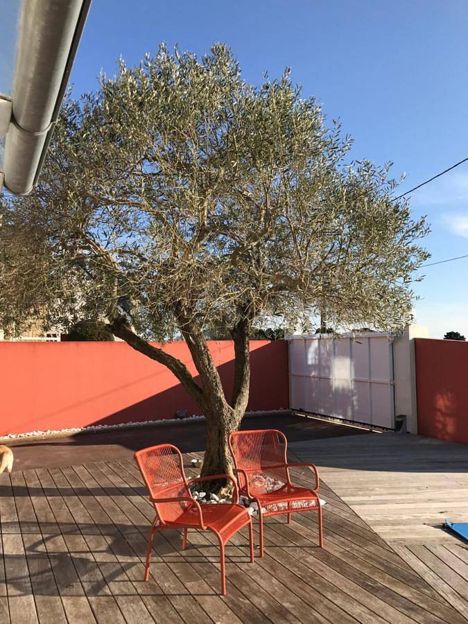 Chambre d’hôte pour 2 personnes, avec terrasse et vue ainsi que piscine et jardin à Saint-Coulomb - 3