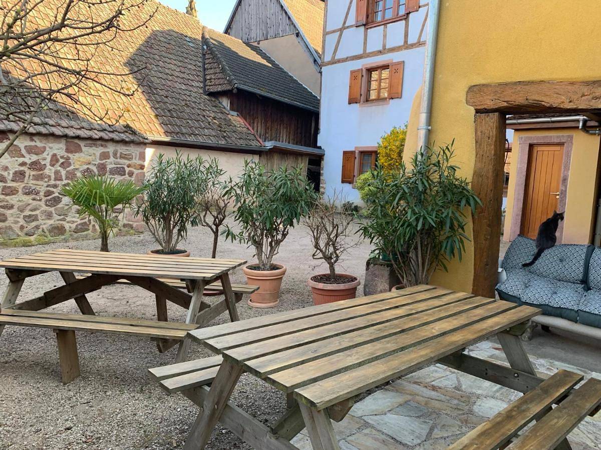 Ganze Wohnung, Chez Suzel in Hunawihr, Regionaler Naturpark Belchen der Vogesen