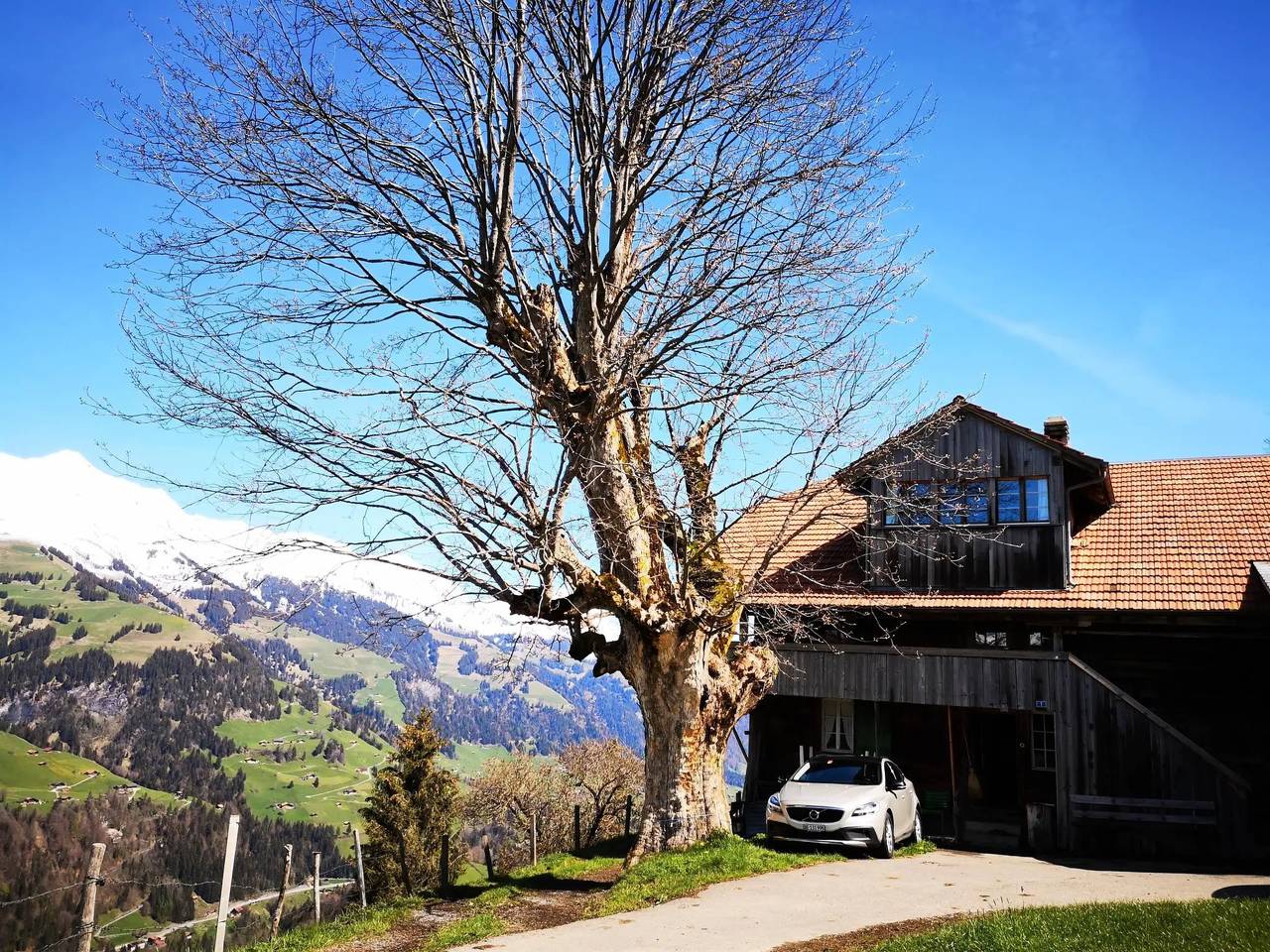 Ganze Wohnung, 3 Pièces 9 Personnes in Frutigen, Frutigen - Lenk - Adelboden