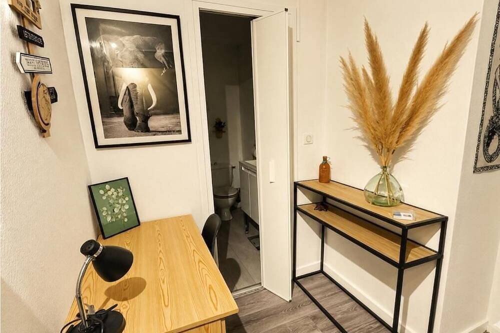 Ganze Wohnung, Apartment facing the Royat thermal baths in Royat, Regionaler Naturpark Volcans d'Auvergne