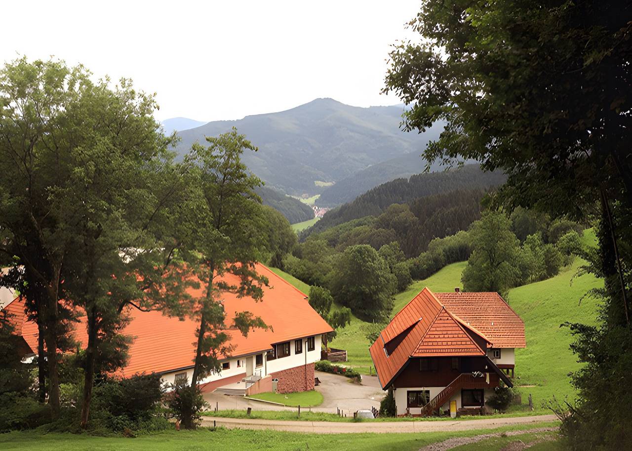 Ganze Wohnung, Ferienwohnung 'Nr 2' mit Gemeinschaftsterrasse, Gemeinschaftsgarten und Wi-Fi in Hausach, Mittlerer Schwarzwald