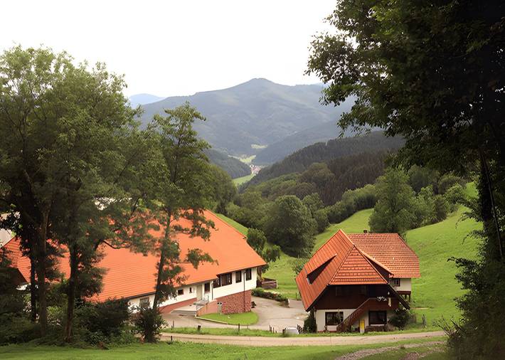 Ganze Wohnung, Ferienwohnung 'Nr 2' mit Gemeinschaftsterrasse, Gemeinschaftsgarten und Wi-Fi in Hausach, Mittlerer Schwarzwald