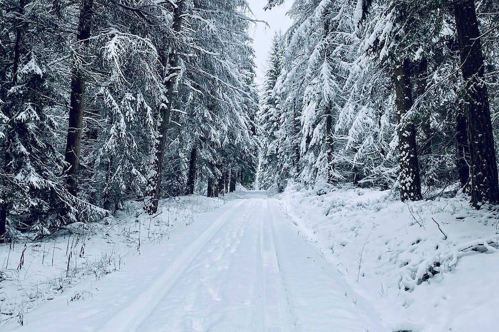 Vogtlfinn - Vogtländischer Hochgenuss mit Charakter - Finnhütte mit Schlafboden in Zwota, Klingenthal