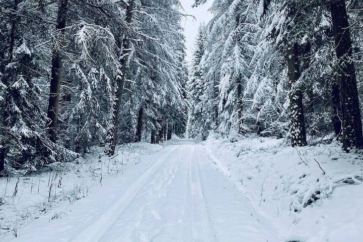 Blockhütte für 4 Personen, mit Balkon, mit Haustier