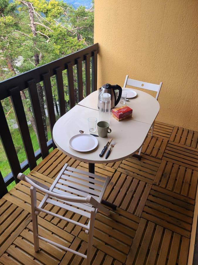 Gîte pour 4 personnes, avec balcon et vue, adapté aux familles dans Station de La Colmiane - 2