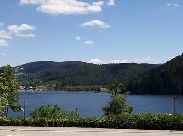 Gîte pour 4 personnes, avec jardin ainsi que vue sur le lac et vue dans Lac de Gérardmer