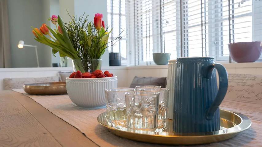 Ferienhaus für 6 Personen, mit Sauna und Garten sowie Terrasse in Borgsum - 3