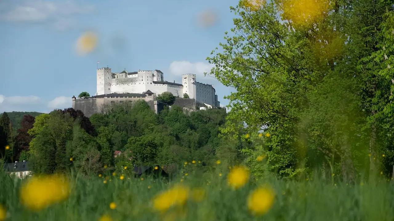 Ganze Ferienwohnung, Ferienwohnung für 4 Personen (55 m²) in Salzburg in Salzburg, DMO Demo Region_1