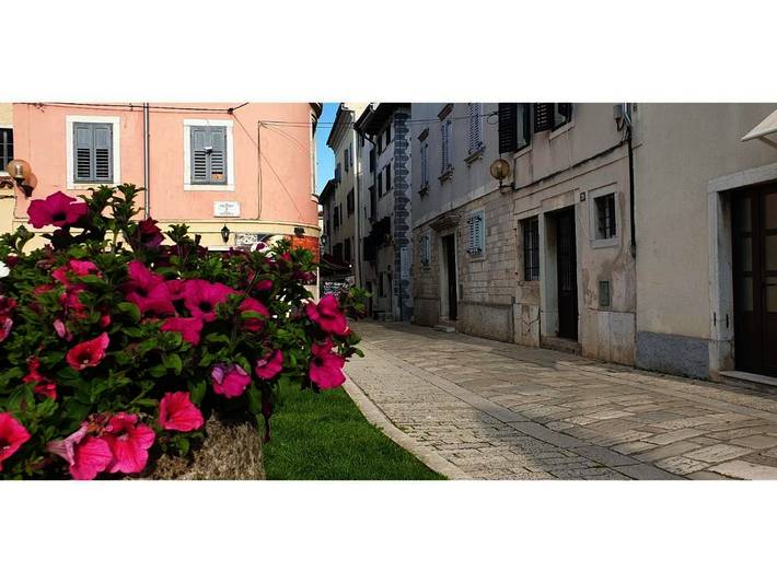 Appartement de vacances pour 2 personnes, animaux acceptés