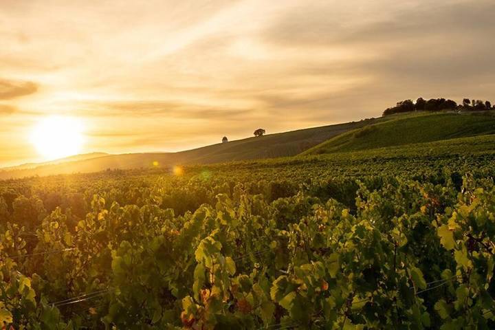 Ferienwohnung für 8 Personen in Eltville am Rhein - 4