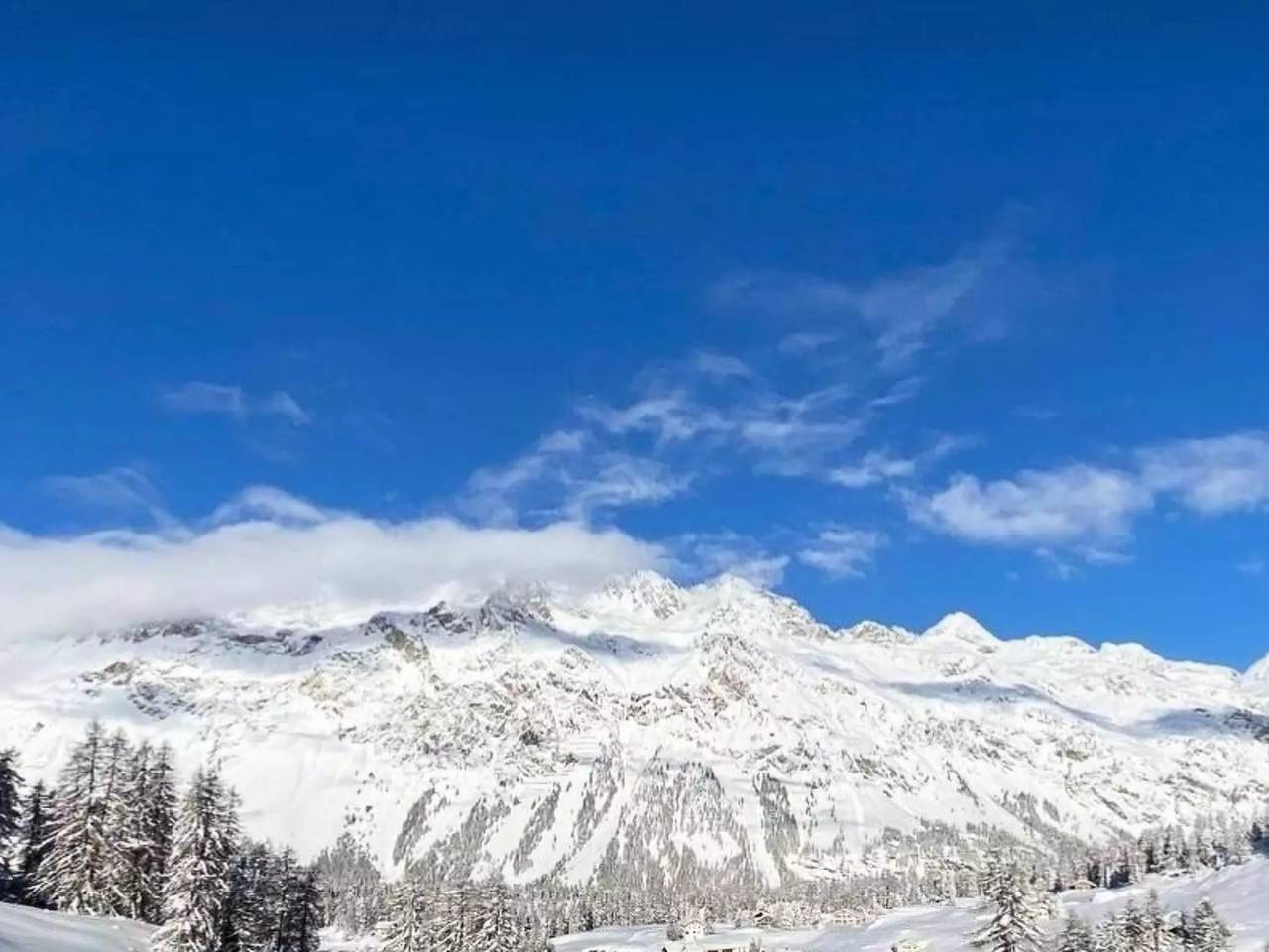 Ganze Wohnung, 2 Zimmer 2 Personen in Sils im Engadin/Segl, Bernina-Alpen