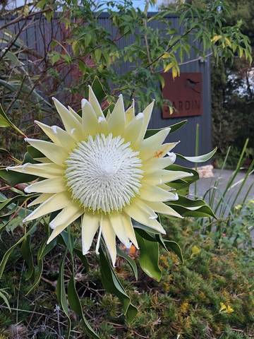 Cottage for 4 People in Queensland, Australia, Photo 3